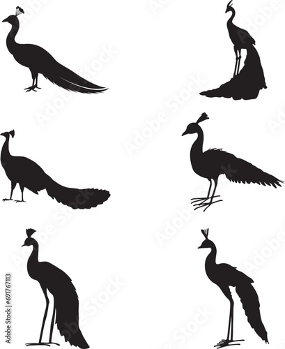 Peafowl silhouettes. black peacock logo elements, peacock designs cuttings laser vector animals