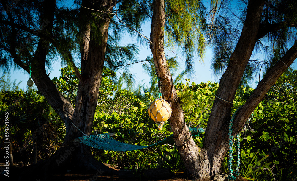 Fototapeta premium Bouy in a Tree