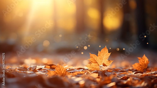 Beautiful autumn background with leaves in the ground and sun rays. Autumn leaves on the ground in the park. photo