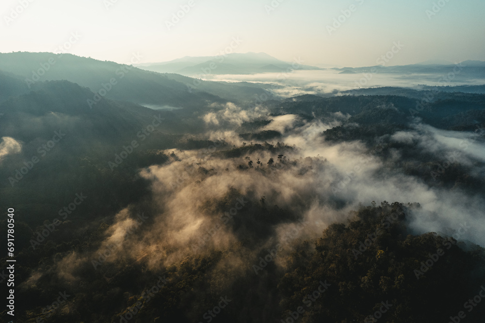Foggy sunrise in the mountains in summer