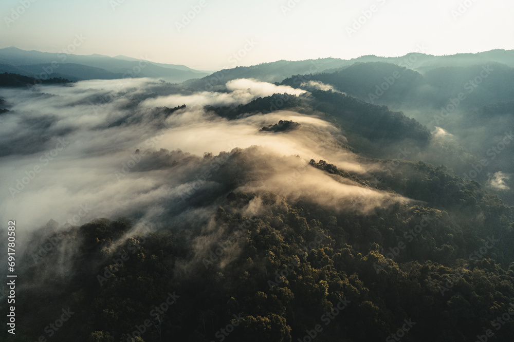 Obraz premium Foggy sunrise in the mountains in summer