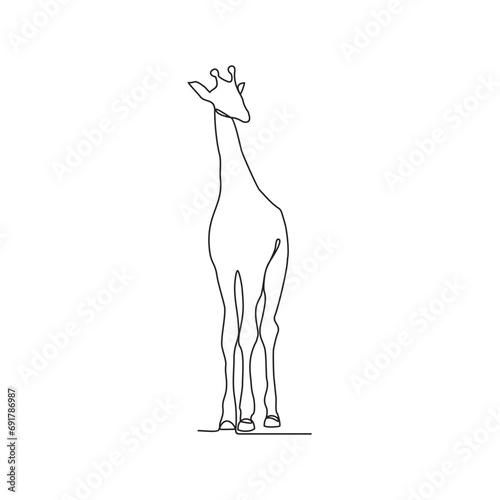 One continuous line drawing of a giraffe in the vast savanna is looking for food vector illustration. Animal activity vector design illustration.