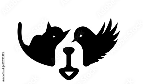 birds dog