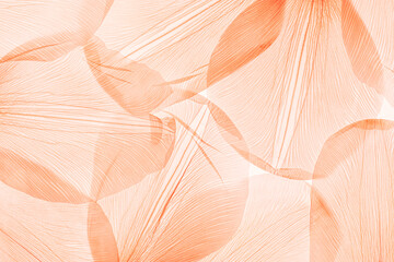 Wandcirkels Pantone 2024 Peach Fuzz Macro bladnerven in perzikkleur  © yrabota