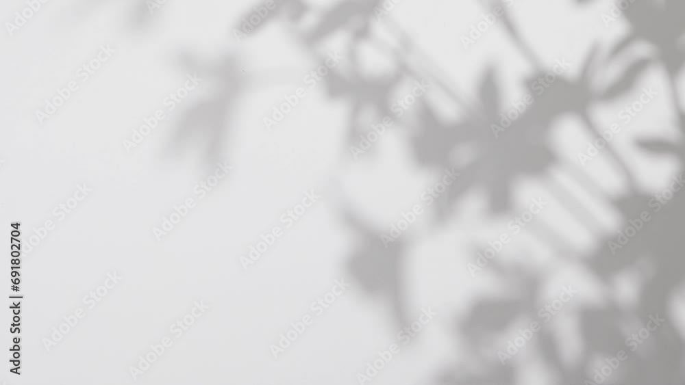 plant leaves sunlight natural shadow overlay on white wall background