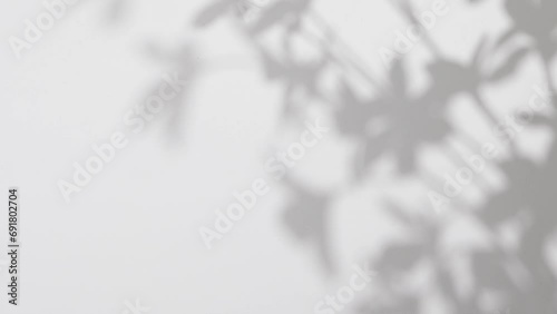 plant leaves sunlight natural shadow overlay on white wall background photo