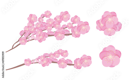 ひなまつり・桃の節句に使いやすい和風なピンク色の桃の花の木のベクターイラスト素材セット