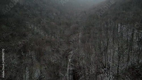 Drone view over the cold winter forest. photo