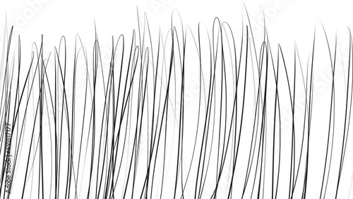 Tall grass or linen mass fluctuates photo
