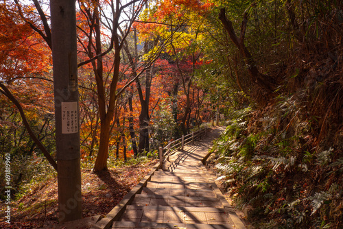 秋の紅葉に染まる登山道