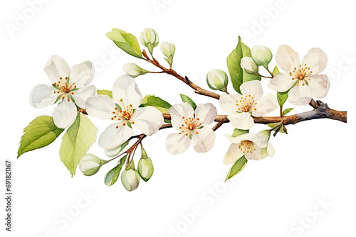 Watercolor of Tropical spring floral green leaves and flowers elements isolated on transparent png background  bouquets greeting or wedding card decoration.