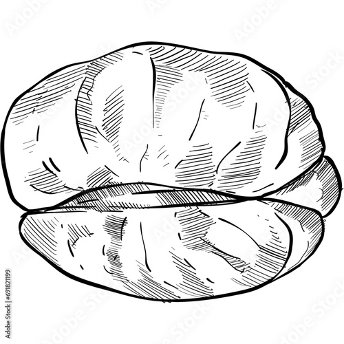 orange fruits handdrawn illustration