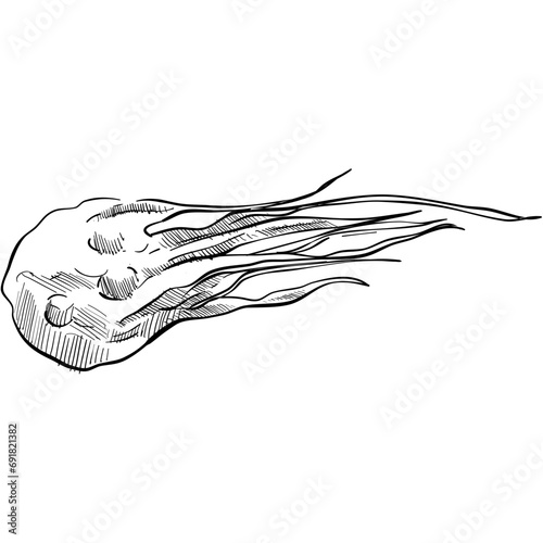 meteor handdrawn illustration