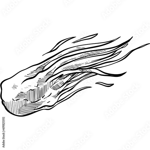 meteor handdrawn illustration