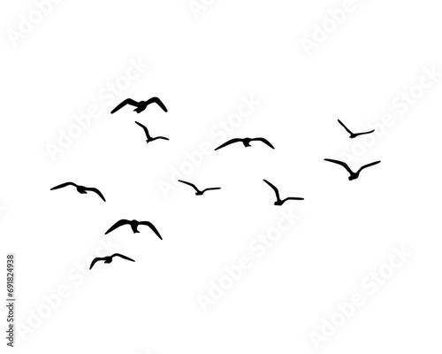 birds in flight © ulucsevda