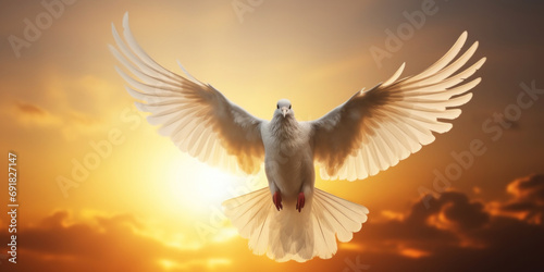 Flying white dove on sunset sky background. Concept of peace and love.