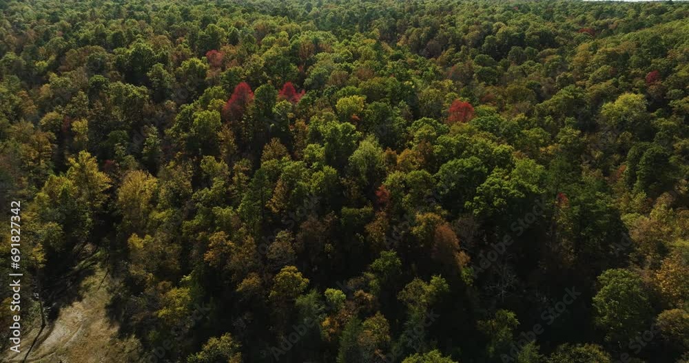 Stunning cinematic panorama of vast woodland, ablaze with autumn shades. Stunning cinematic panorama of vast woodland, ablaze with autumn shades.