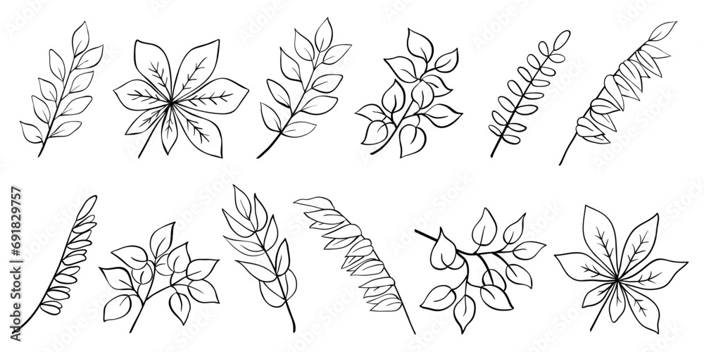 Tree branch collection, twigs and leaves of acacia, laurel, birch, willow, chestnut. Hand drawn outline sketch isolated on white. Vector for nature and botany illustration, floral and organic design. - obrazy, fototapety, plakaty 