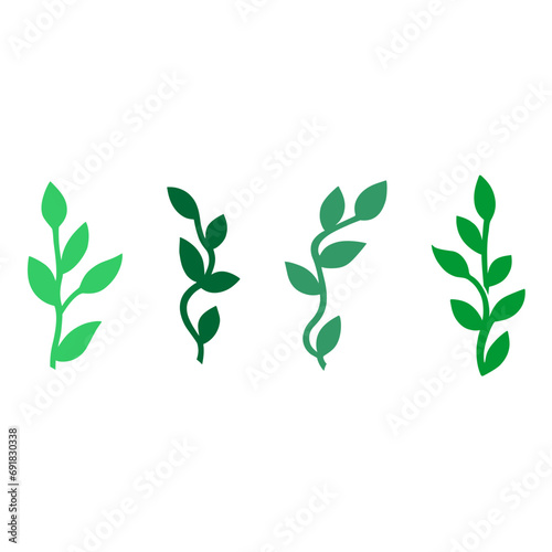 green leaves isolated on white background