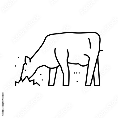 cow eating grass line icon vector. cow eating grass sign. isolated contour symbol black illustration