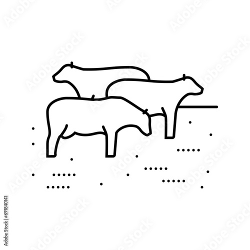 cow grazing line icon vector. cow grazing sign. isolated contour symbol black illustration