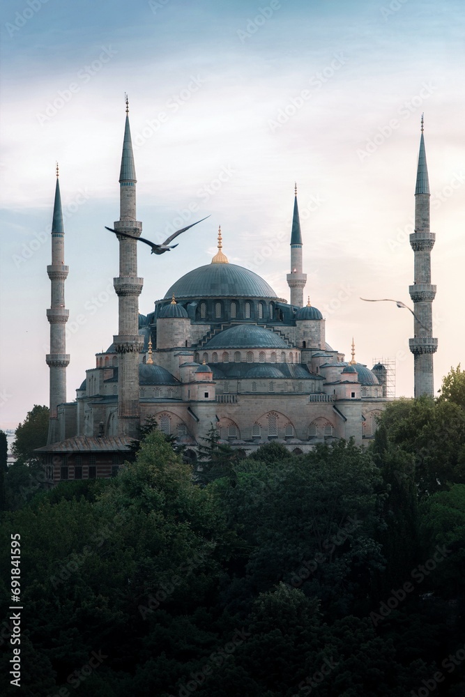 Obraz premium blue mosque