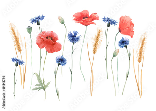 Modern watercolor floral vector set. Collage contemporary set of elements. Hand drawn realistic flowers.