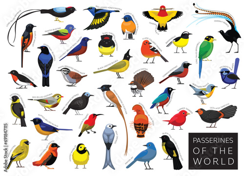 Slika na platnu Bird Passerines of the World Set Cartoon Vector Character