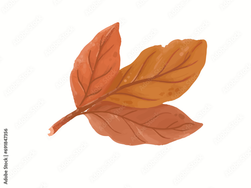 Brown leaves watercolor illustration