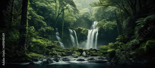 Waterfall amidst lush forests