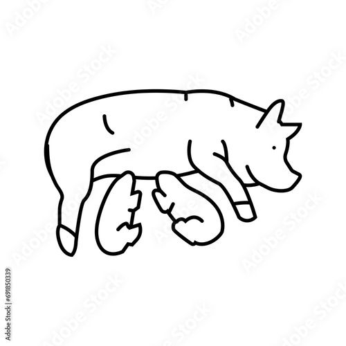 pig piglets farm line icon vector. pig piglets farm sign. isolated contour symbol black illustration