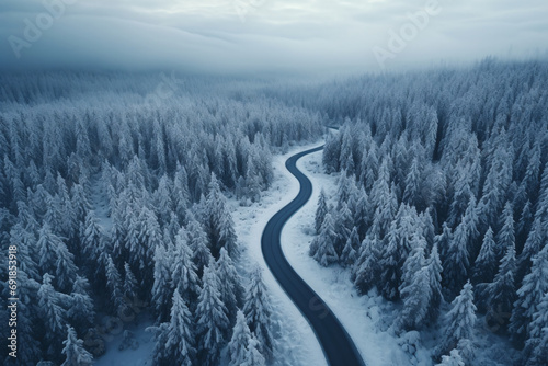 Aerial view of a winding road leading through a snowy forest  © Dennis