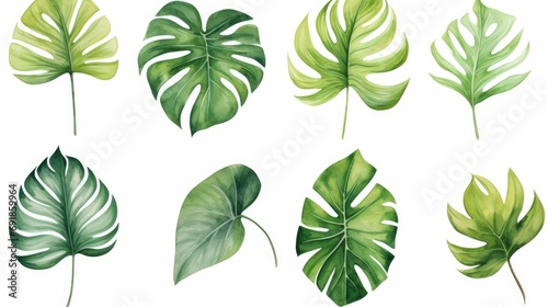 Set monstera leave watercolor painting for cards, wedding invitation and birthday cards, Generative AI photo