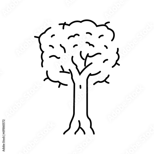 kauri jungle amazon line icon vector. kauri jungle amazon sign. isolated contour symbol black illustration