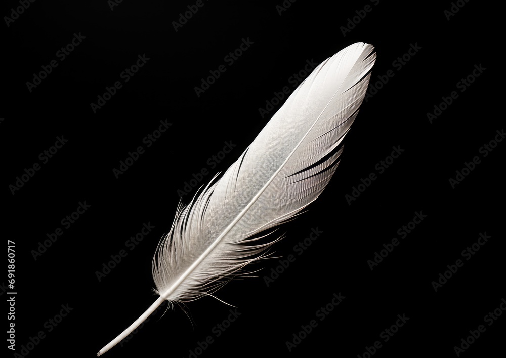 A minimalist composition of a single white feather delicately resting on a black background, A minimalist composition of a single white feather delicately resting on a black background,