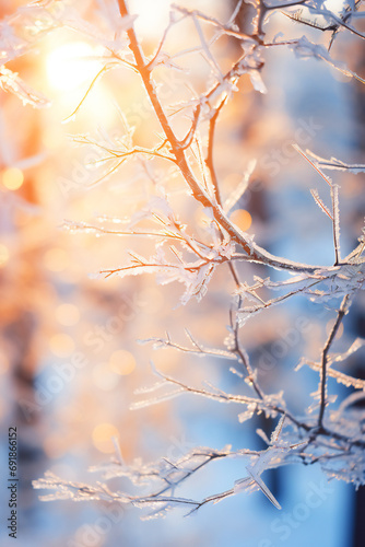Glistening ice on tree branches, nature in winter