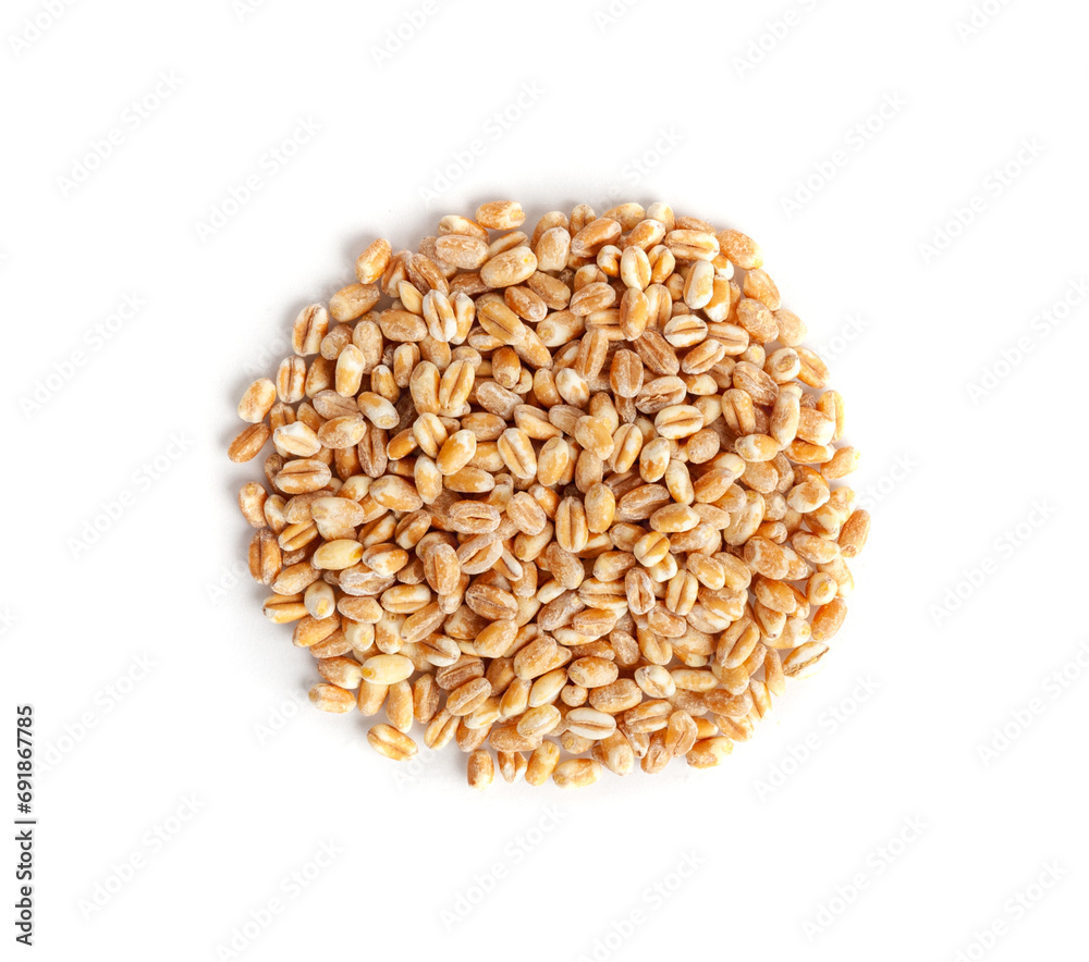Wheat Grains, Barley Pile, Dry Cereal Seeds, Wheat Grains Heap on White Wheat Grains, Barley Pile, Dry Cereal Seeds, Wheat Grains Heap on White