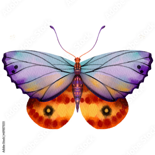 Watercolor colorful butterfly with paper texture.