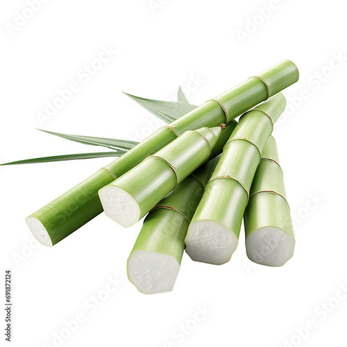 Sugarcane plant for lohri festival  makar sankranti   pongal