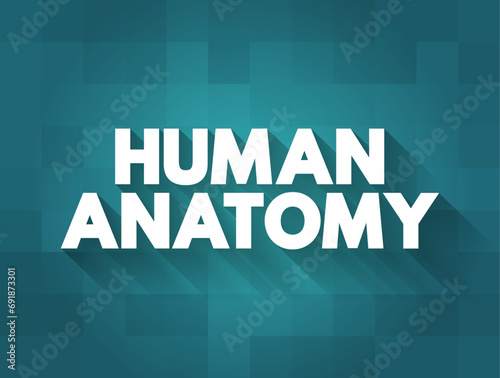 Human Anatomy is the science that studies the structure of the body, text concept background