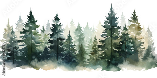 Christmas trees Vector watercolor illustration,Forest, fir trees, pine trees, Forest watercolor illustration photo