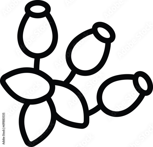 Rosehip bush icon outline vector. Garden natural rose plant. Rose hip seeds