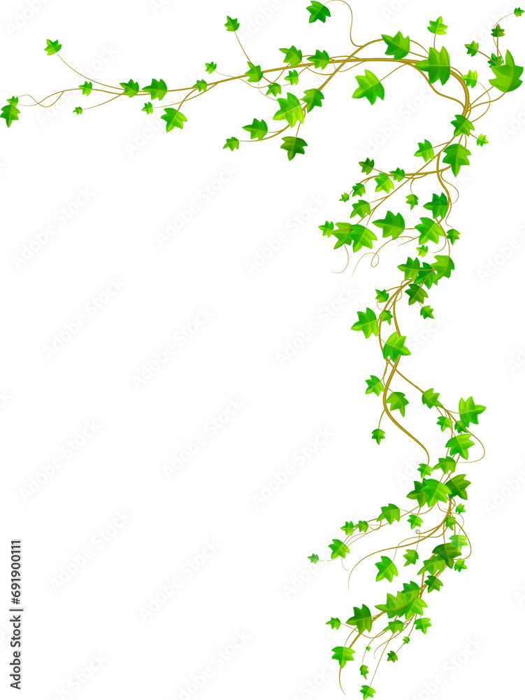Liana Jungle Vine Border Liana Jungle Vine Border
