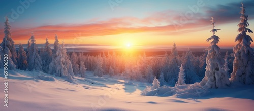 Aerial view in front of a snow covered tree in middle of snowy forest winter sunset in Lapland. Copy space image. Place for adding text