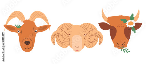 Portraits of cute domestic cattle animals, goat, cow and sheep. Hand drawn animal heads in flat design, isolated vector illustration