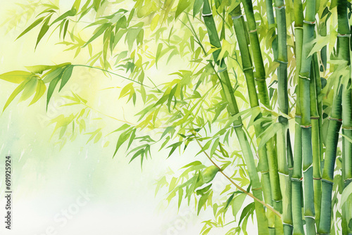 watercolor bamboo tree.