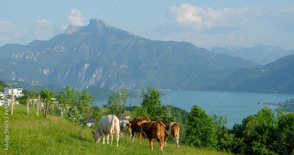 Mondsee im Salzkammergut in Österreich