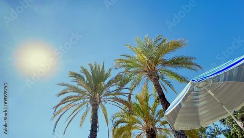 Three Palm trees and a sun umbrella bottom top view with sun.