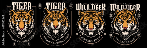 Vector set of tiger head illustration. For shirt and logo.