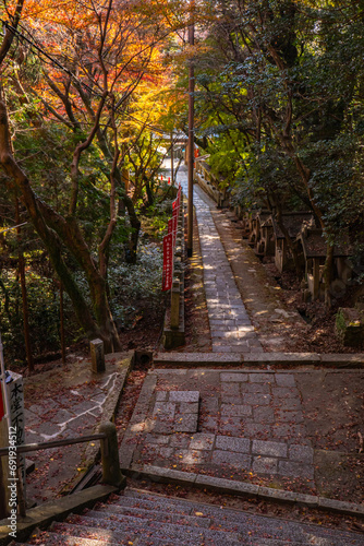 紅葉に包まれた寺の階段